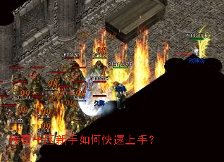 ����һ��������ο������֣�