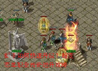 ������ο�������������̬��ְҵ������������