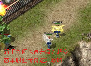 ������ο�������������̬��ְҵ������������