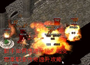 ������ο�������������̬��ְҵ������������