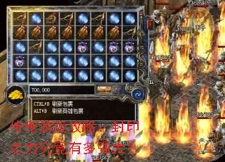 ������Ϸ���ԣ���ӡ֮�������ж�ǿ��