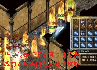 ���Ĵ���������ο�������ս������С�׵�����ȫ����