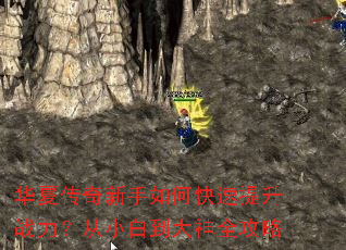 ���Ĵ���������ο�������ս������С�׵�����ȫ����