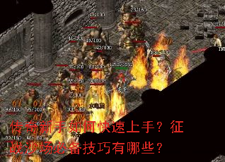 ����������ο������֣���սɳ���ر���������Щ��