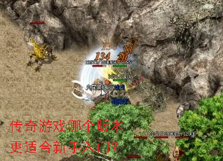 ������Ϸ�ĸ��汾���ʺ��������ţ�