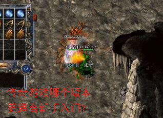 ������Ϸ�ĸ��汾���ʺ��������ţ�