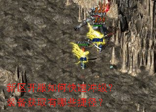 ����������ο��ٳ弶��װ����ȡ����Щ�ݾ���