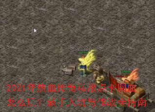 2021����Ѫ����˽���㿨��Ѫ��ô�棿�����������սȫָ��