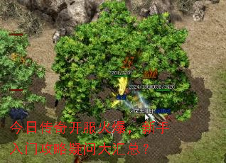 ���մ��濪���𱬣��������Ź������ʴ���ܣ�