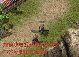 ��ο���������սɳ��SF999�·���ɫ�ȼ���