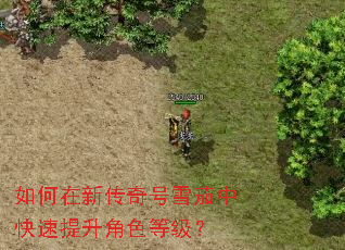 ������´����ѩ���п���������ɫ�ȼ���