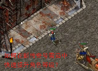 ������´����ѩ���п���������ɫ�ȼ���