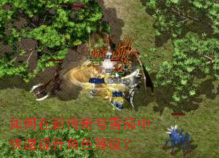 ������´����ѩ���п���������ɫ�ȼ���