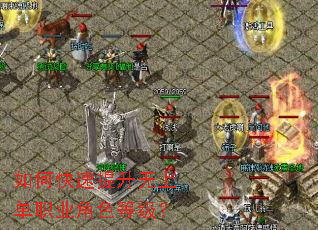 ��ο����������ϵ�ְҵ��ɫ�ȼ���