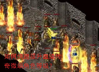 ��ο�������ѪȾ����΢�˽�ɫ�ȼ���