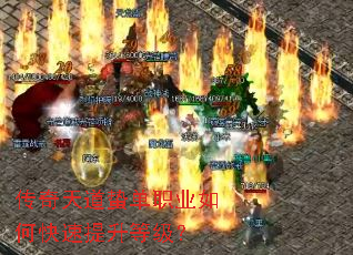 ��������ݵ�ְҵ��ο��������ȼ���