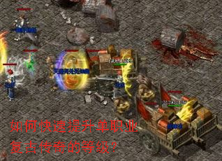 ��ο���������ְҵ���Ŵ���ĵȼ���