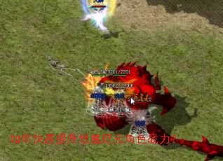 ��ο���������ħ��Ԫ��ɫս����