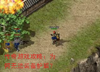 ������Ϸ���ԣ�Ϊ���޷�װ�����ܣ�