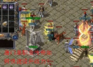 ���ŵ�ְҵ������ο�������ս����