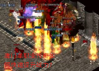 ���ŵ�ְҵ������ο�������ս����