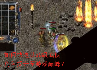 ��ο��ٴ�50��������ɫ��������Ϸ�۷壿