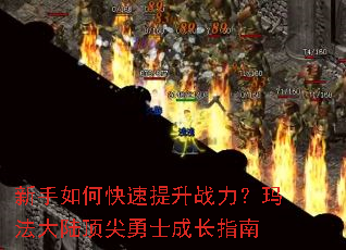 ������ο�������ս�����귨��½������ʿ�ɳ�ָ��