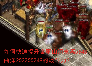 ��ο���������ӹɽ��ĩƪ5648����202200249��ս������