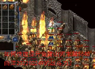 ��ο���������ӹɽ��ĩƪ5648����202200249��ս������