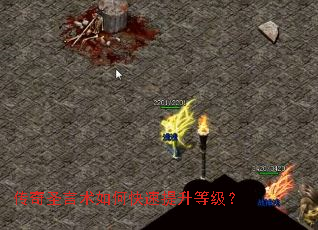 ����ʥ������ο��������ȼ���