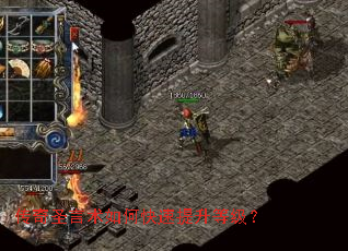 ����ʥ������ο��������ȼ���