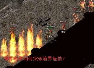 ����������ͻ�ƾ���������