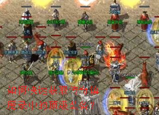 ��ο��ٻ�ȡ������ħ¼�еĶ���װ����