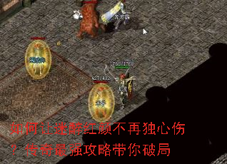 ������������ղ��ٶ����ˣ�������ǿ���Դ����ƾ�