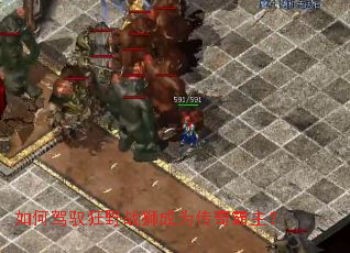 ��μ�Ԧ��Ұսʨ��Ϊ���������