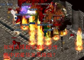 ���ѡ�񳬱䵥ְҵ�����е���ѷ�չ·�ߣ�