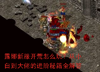 ¶���·�������ô�棿��С�׵����еĽ����ؼ�ȫ���