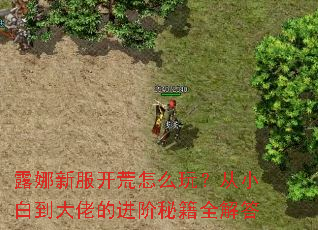 ¶���·�������ô�棿��С�׵����еĽ����ؼ�ȫ���