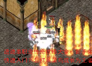 �ż���ְҵ���湥�Դ�ȫ��������ο������ţ������Ӳ���ɳ�Ϊ���ߣ�