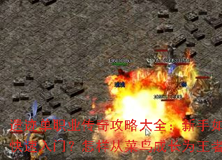 �ż���ְҵ���湥�Դ�ȫ��������ο������ţ������Ӳ���ɳ�Ϊ���ߣ�