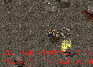 �ż���ְҵ���湥�Դ�ȫ��������ο������ţ������Ӳ���ɳ�Ϊ���ߣ�