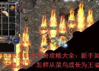 �ż���ְҵ���湥�Դ�ȫ��������ο������ţ������Ӳ���ɳ�Ϊ���ߣ�