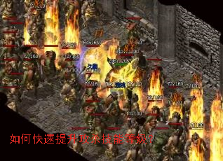 ��ο���������ɱ���ܵȼ���