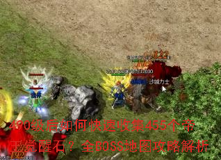 490������ο����ռ�455����������ʯ��ȫBOSS��ͼ���Խ���