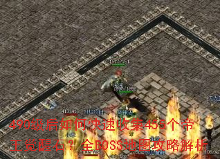 490������ο����ռ�455����������ʯ��ȫBOSS��ͼ���Խ���