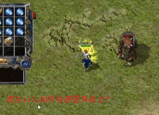 ����sifu��ο�������ս����