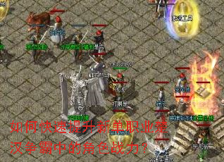 ��ο��������µ�ְҵ���������еĽ�ɫս����