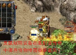 ��������װ���ڵ�ְҵ��������Щ������������ߣ�