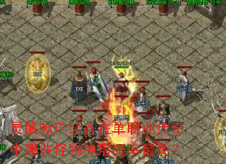 ��������װ���ڵ�ְҵ��������Щ������������ߣ�