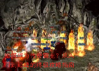 ��γ�Ϊ��������������ŵ��۷���ռ�����ָ��